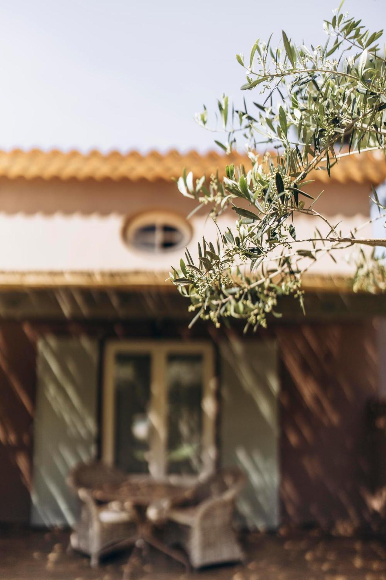 La Villa D'Andrea ラマチュエル エクステリア 写真