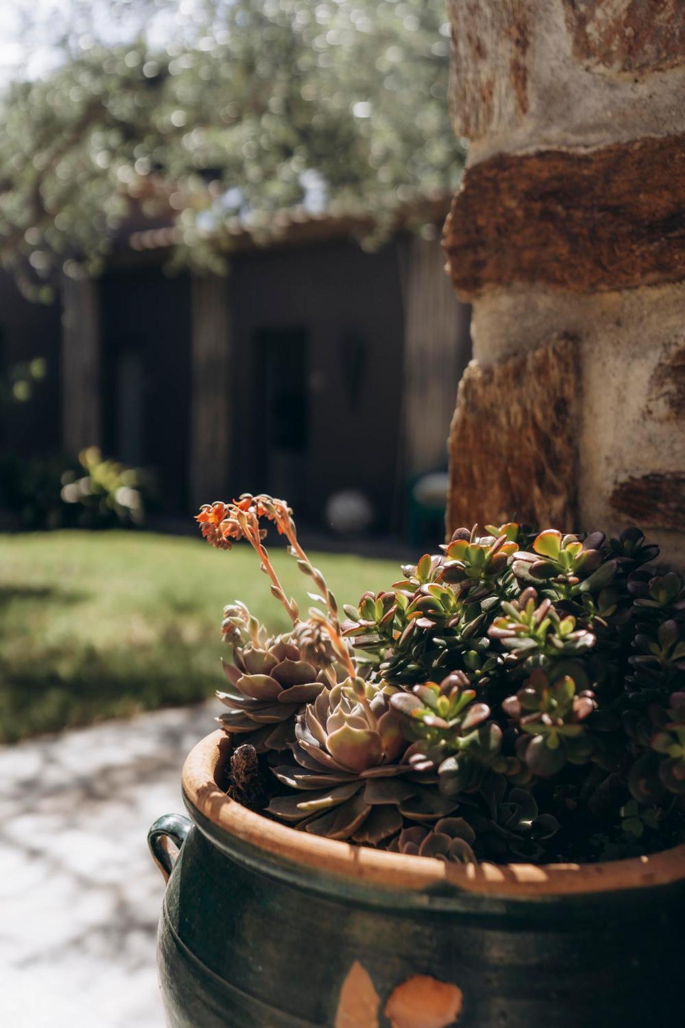 La Villa D'Andrea ラマチュエル エクステリア 写真